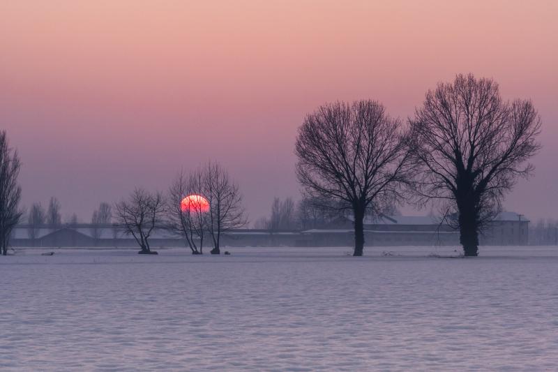 Inverno, Elemento Acqua. Rimedi e tecniche per vivere lo scorrere dell'inverno in armonia